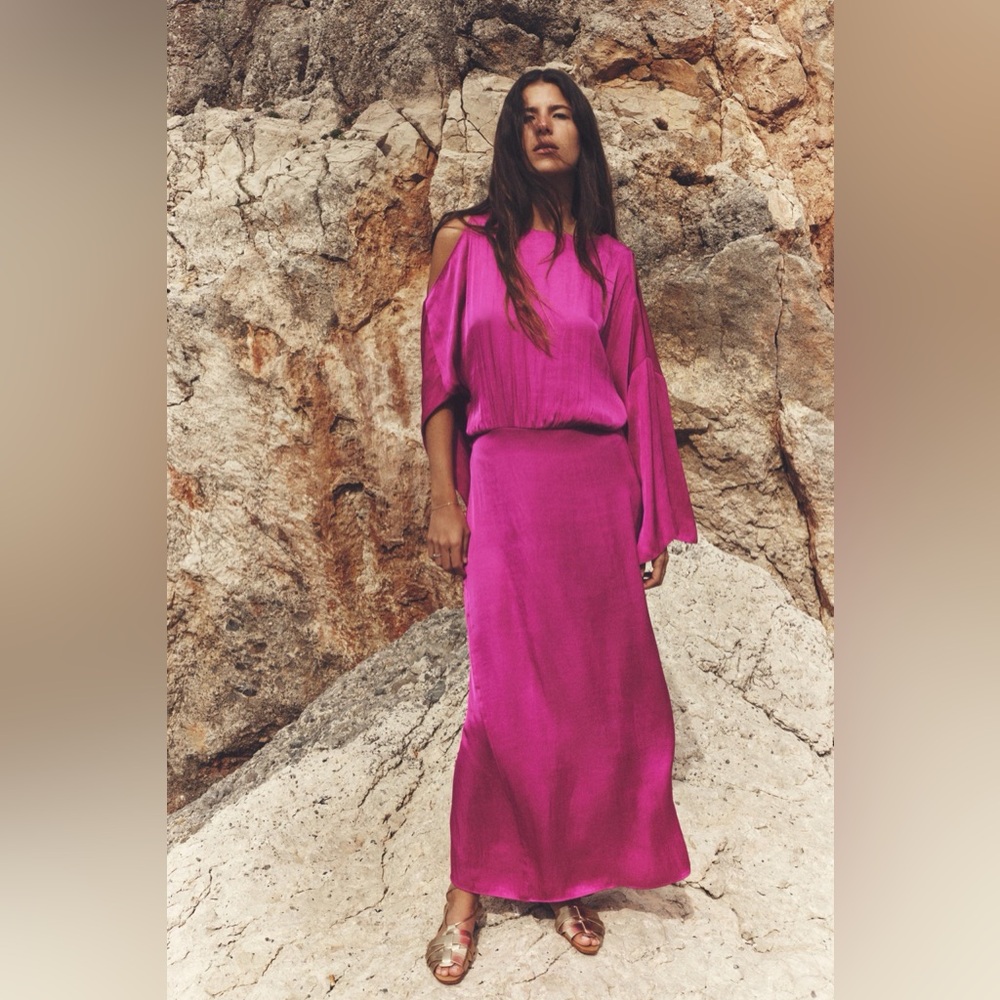 Zara Fuchsia/Pink Maxi dress